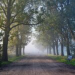 Exploring the Potential of Hydrogen Fueling Stations for Fuel Cell Vehicles: 11xplay, Tigerexch247 login, Booki bet
